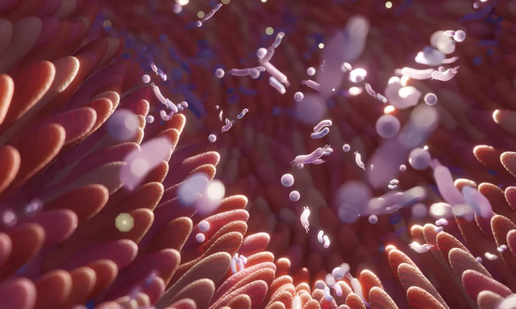 Tics and Gut Health Functional Lab Testing