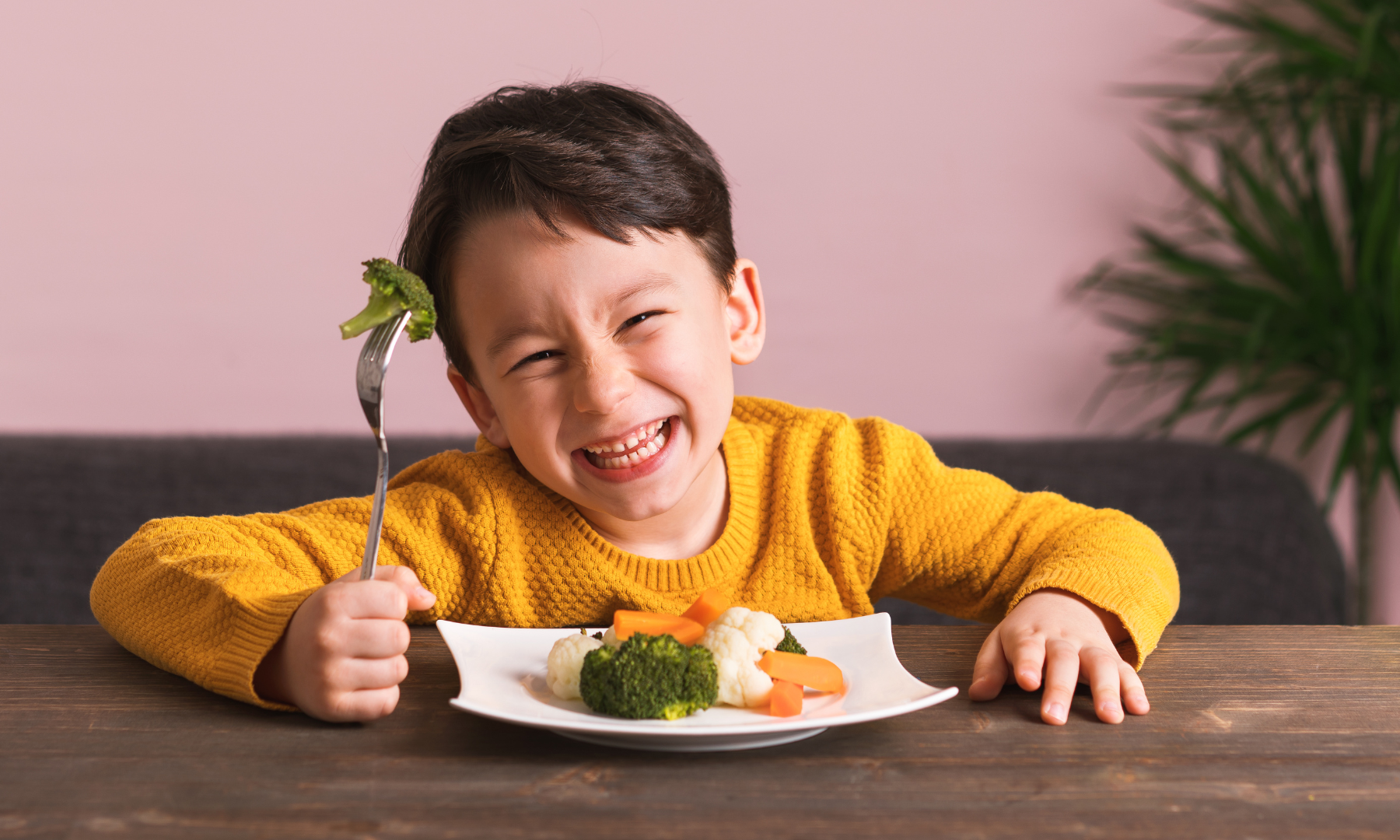 holistic treatment for tourette syndrome gut paleo diet