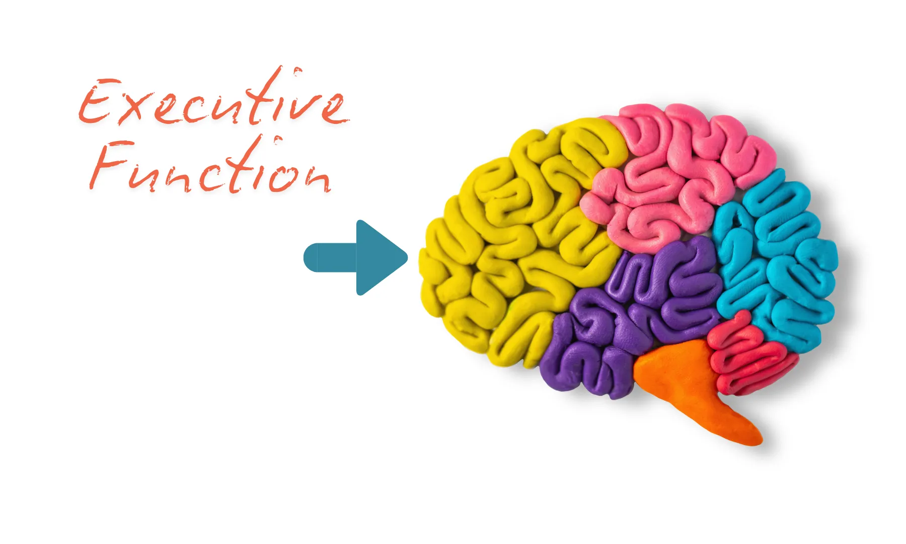 Tic Disorders and Executive Function: Why Kids Struggle With Focus and ...